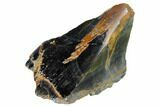 Polished Blue Tiger's Eye Section - South Africa #148267-1